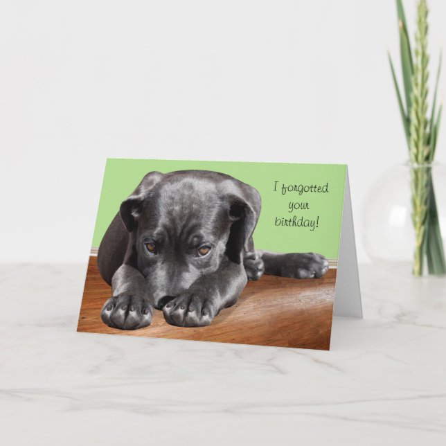 Black Lab Belated Birthday Card (Front)