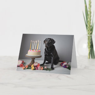 Black Lab Birthday Card