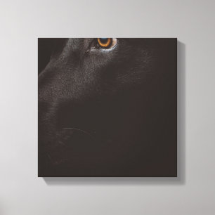 black lab canvas print