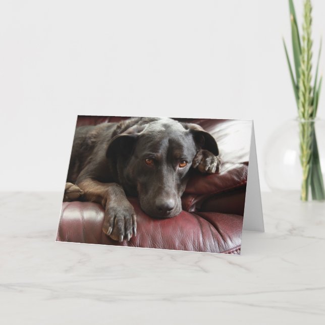 Black Lab Card (Front)