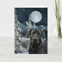 Black lab Christmas