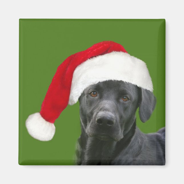Black lab Christmas Magnet (Front)