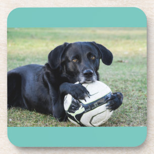 Black lab coasters.  Set of six. Coaster