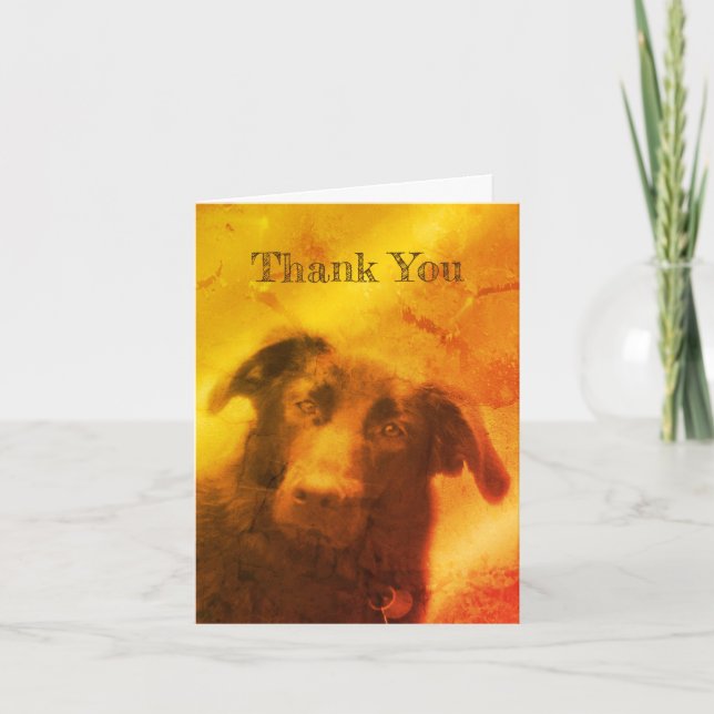 Black Lab Dog Art Carte de remerciements (Devant)