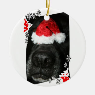 Black lab dog nose with santa hat photograph ceramic ornament