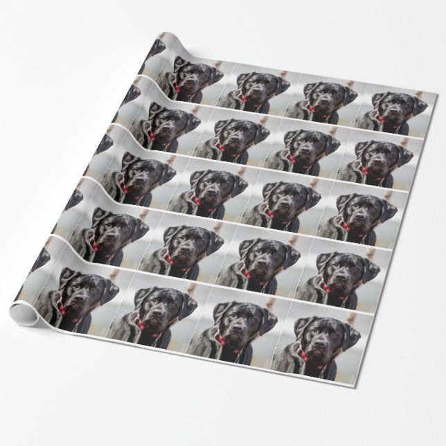 Black Lab Dog Pet Black Labrador Retriever Wrapping Paper (Unrolled)