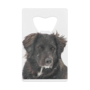 Black Lab Dog Pet Photo Credit Card Bottle Opener