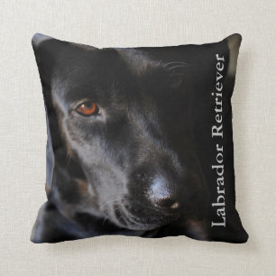 Black Lab Dog Throw Pillow
