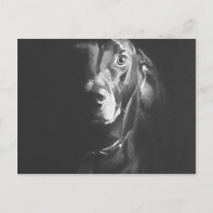 Black Lab Dog Watercolor by Paul Jackson Postcard