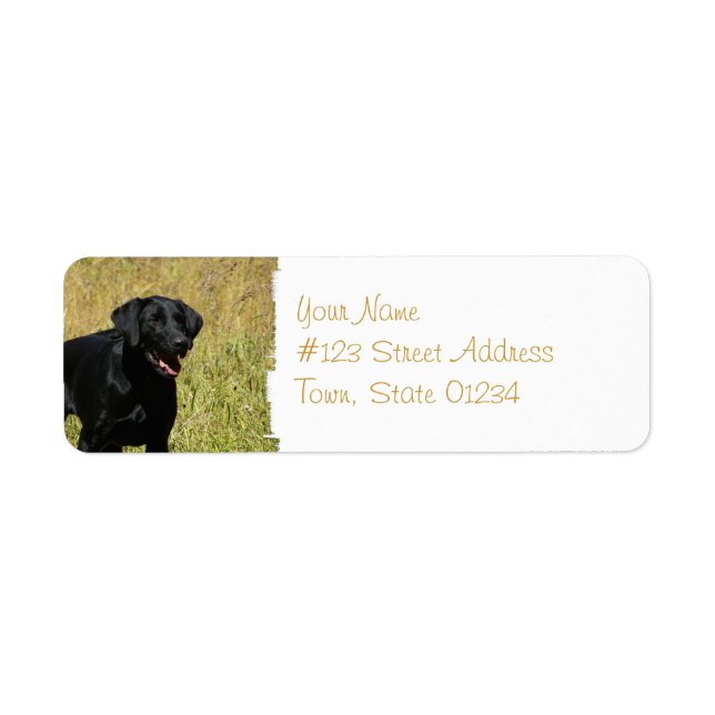 Black Lab en Étiquettes de messagerie sur le terra (Devant)