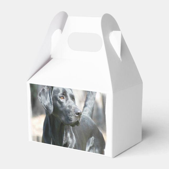 Black Lab Favor Box (Front Side)