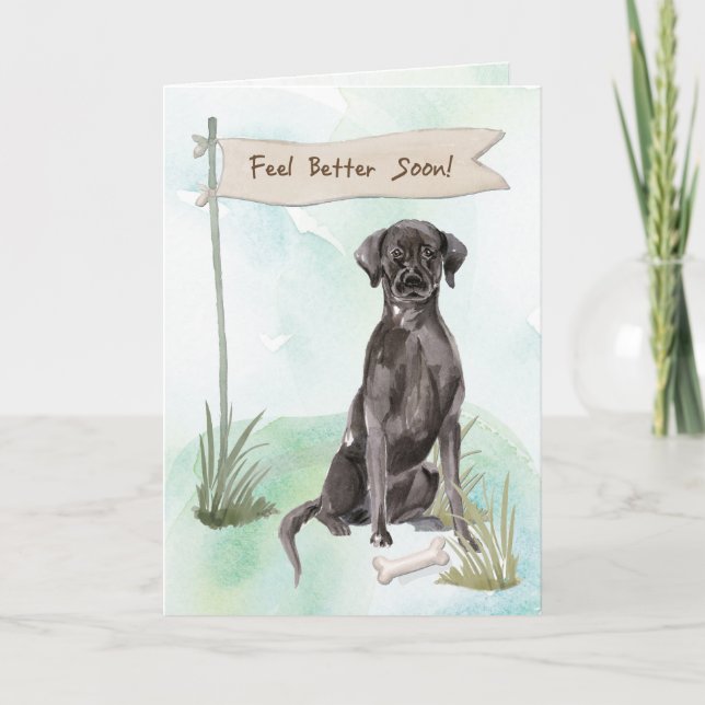 Black Lab Feel Better After Surgery to Dog Card (Front)