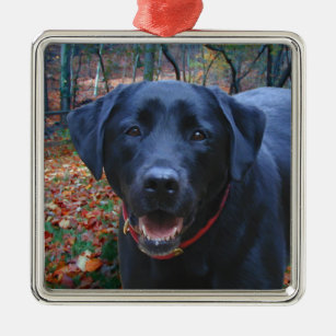 Black Lab Fine Art Painting  of Hunting Dog Metal Ornament