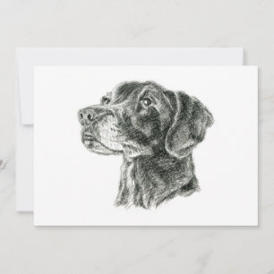 Black Lab Flat Card