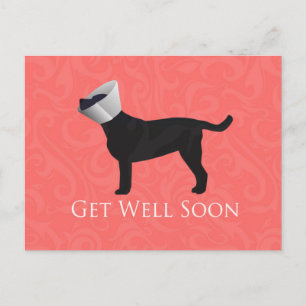 Black Lab Get Well Soon Design Postcard
