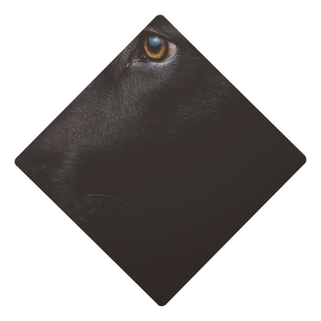 black lab graduation cap topper (Front)