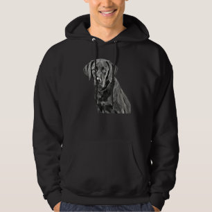Black Lab Graphic Novel Filter Black Labrador Retr Hoodie