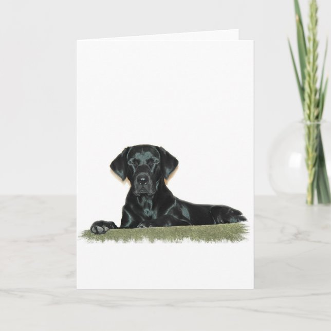 Black Lab Greeting Card (Front)