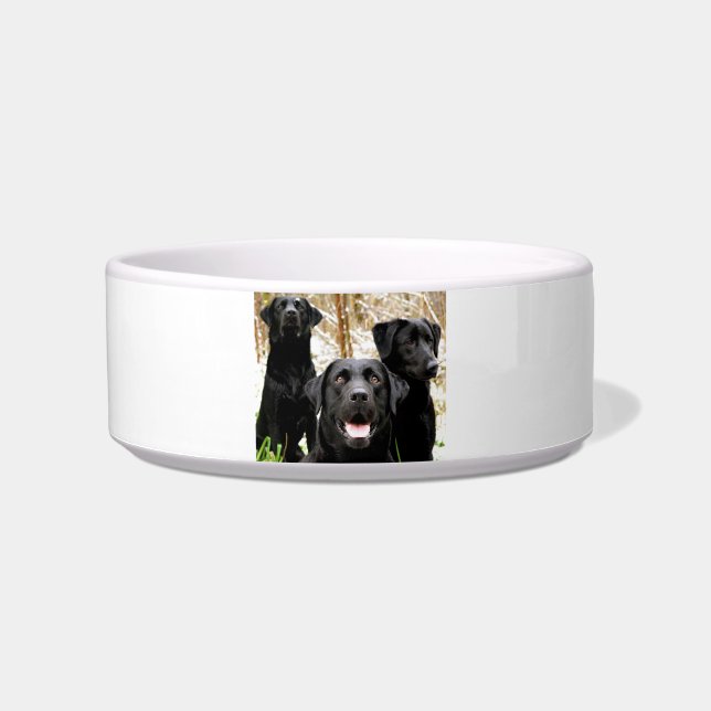 black lab group bowl (Front)