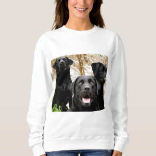 black lab group sweatshirt