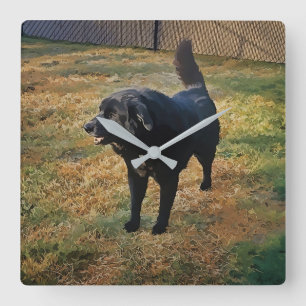 Black Lab In The Fall Sun Wall Clock