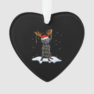 Black Lab Labrador Christmas Tree Light Pajama Dog Ornament