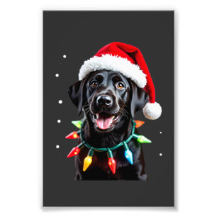 Black Lab Labrador Christmas Tree Light Pajama Dog Photo Print