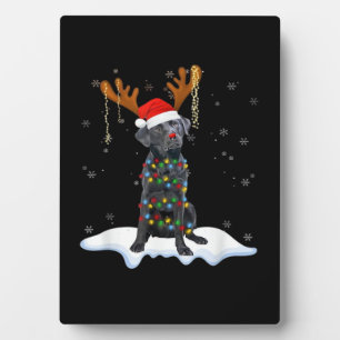 Black Lab Labrador Christmas Tree Light Pajama Dog Plaque