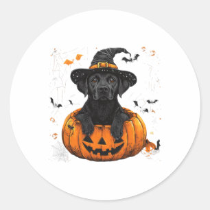 Black Lab Labrador Pumpkin Halloween Thanksgiving  Classic Round Sticker