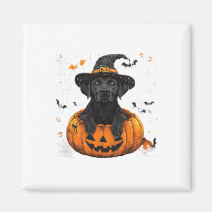 Black Lab Labrador Pumpkin Halloween Thanksgiving Magnet