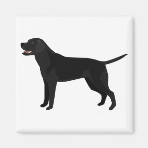 Black Lab - Labrador Retriever Breed Silhouette Magnet