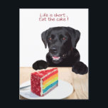 Black Lab- Life is short , eat the Cake - Labrador Postcard<br><div class="desc">Life is short ,  eat the cake !
Send a sweet message with this Black Lab postcard !</div>