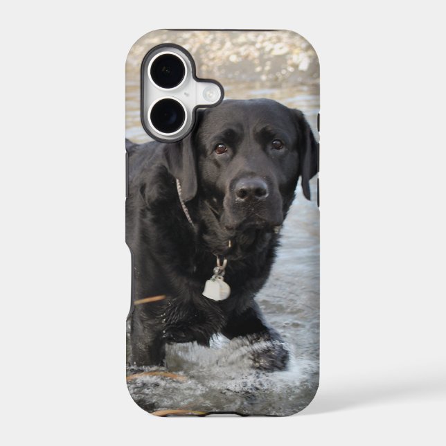 Black Lab Love (Back)