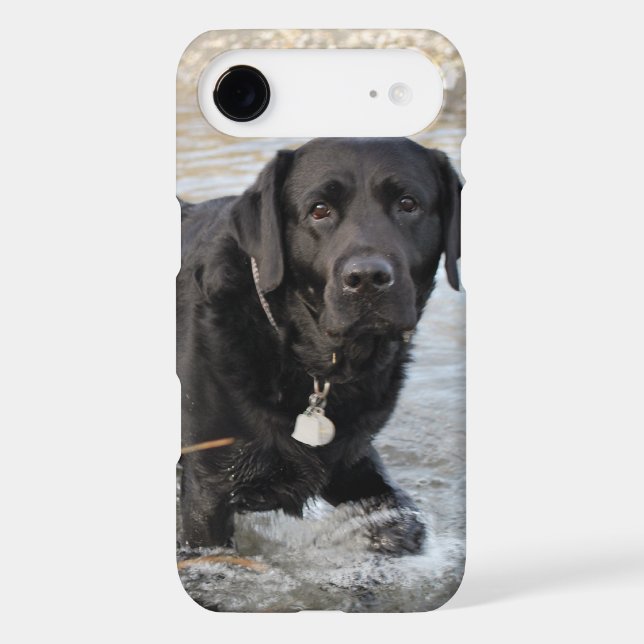 Black Lab Love Case-Mate iPhone Case (Back)