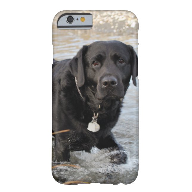 Black Lab Love Case-Mate iPhone Case (Back)