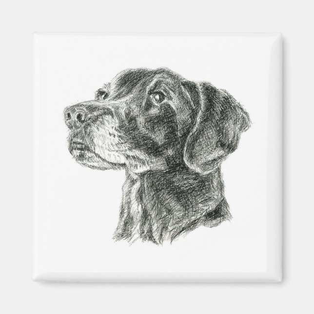 Black Lab Magnet (Front)