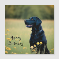 Black Lab Magnetic Card