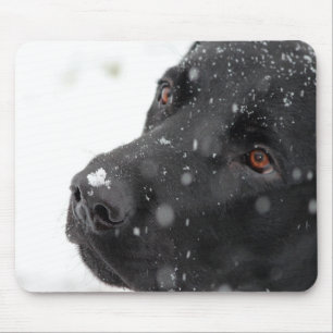Black Lab Mouse Pad