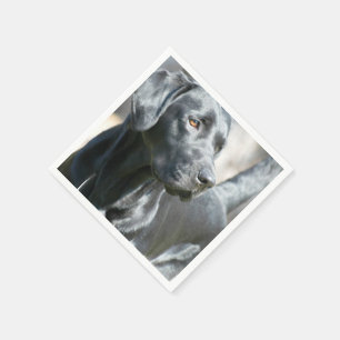 Black Lab Napkin