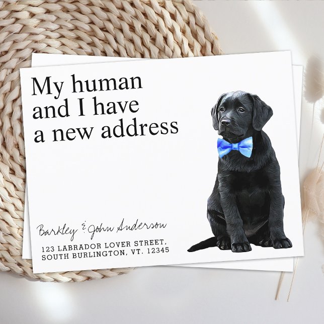 Black Lab New Address Dog Moving Announcement Postcard (Creator Uploaded)