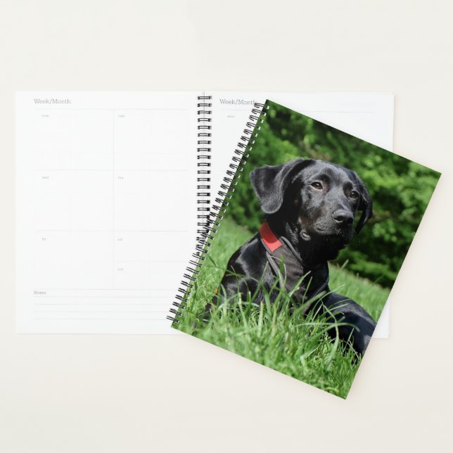 Black Lab Planner (Display)