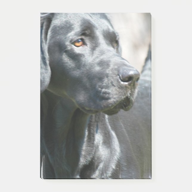 Black Lab Post-it Notes (Front)