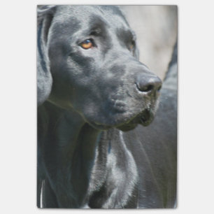 Black Lab Post-it Notes