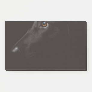 black lab post-it notes