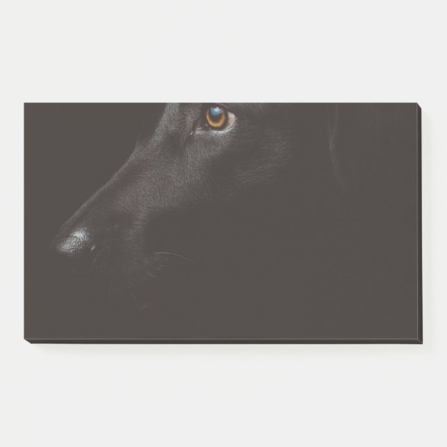 black lab post-it notes (Front)