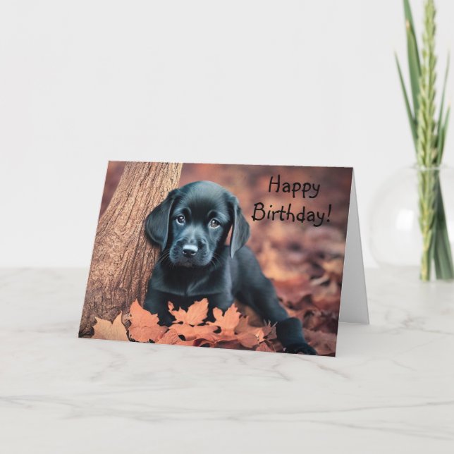 Black Lab Puppy Birthday Card (Front)