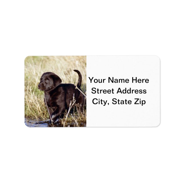 Black Lab Puppy Label (Front)