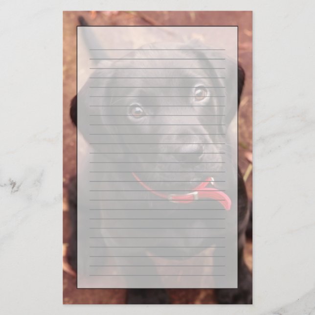 Black Lab Puppy Stationery (Front)