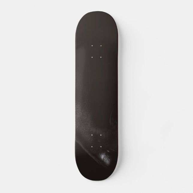 black lab skateboard (Front)