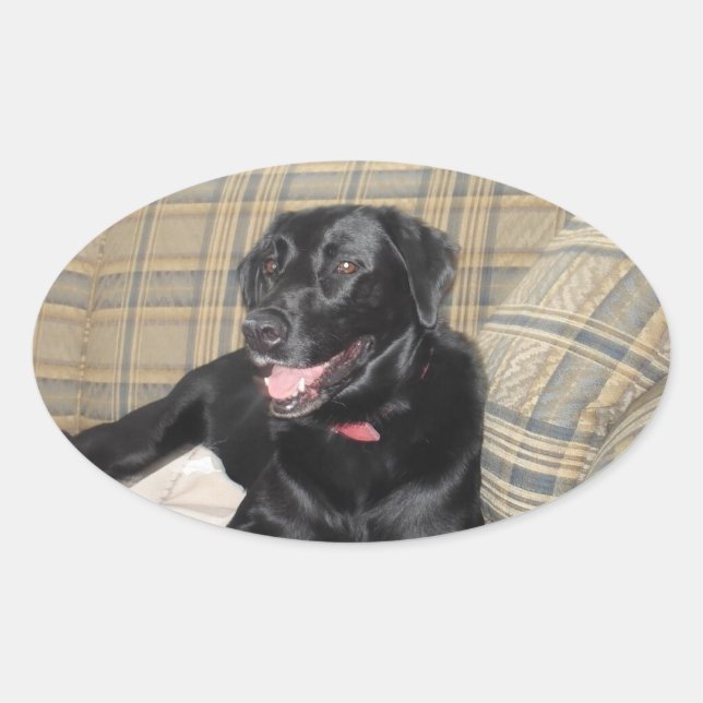Black Lab Sticker (Front)